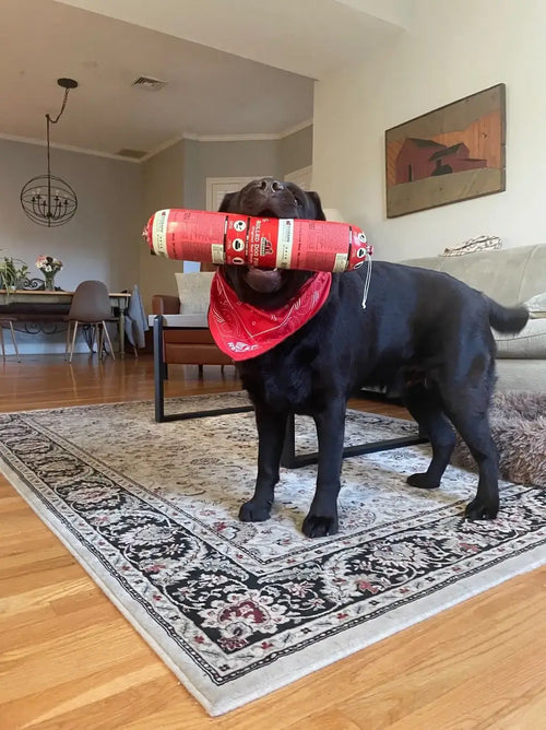 What Is Rolled Dog Food and Is It Right for Your Pup?