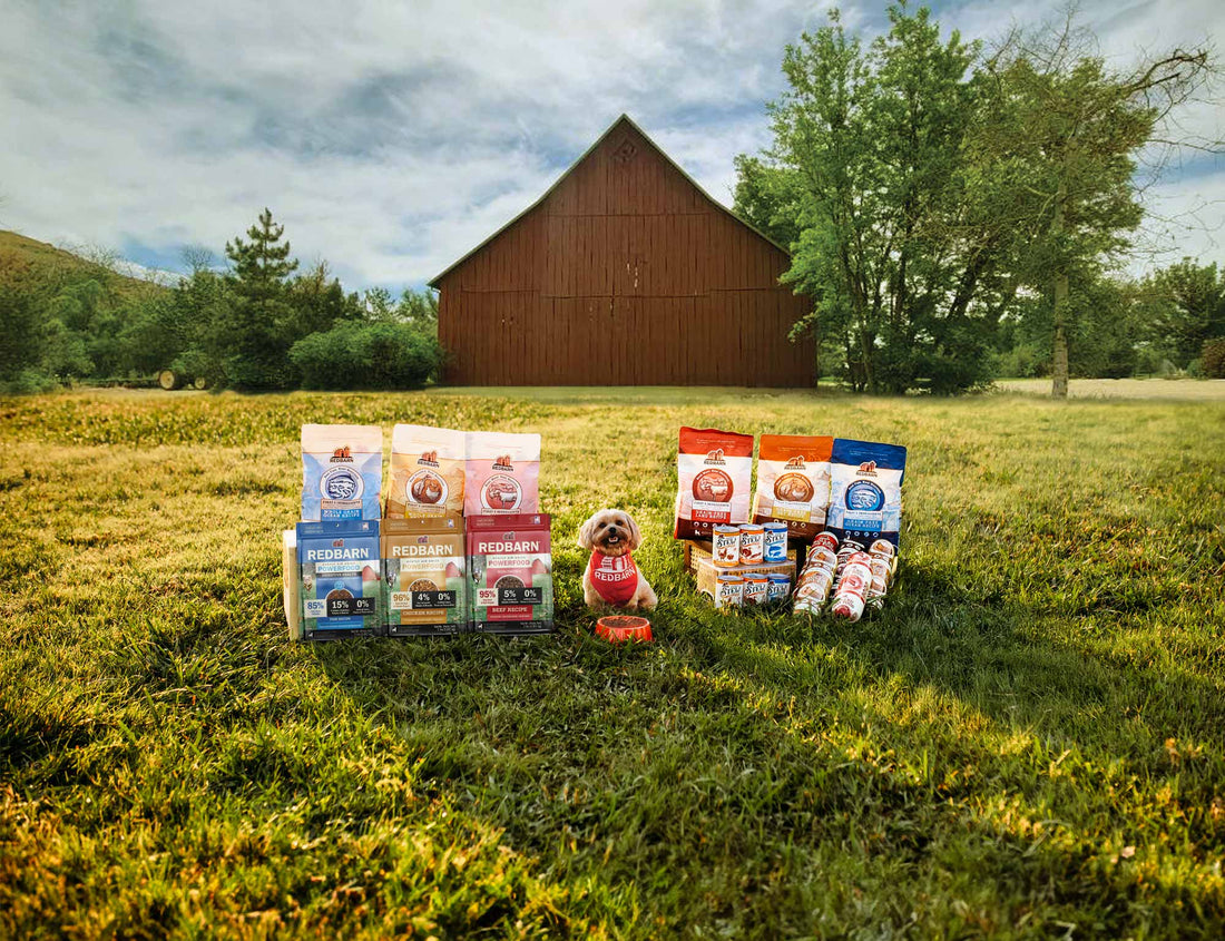 A dog posing with the Redbarn family of food in front of a red barn