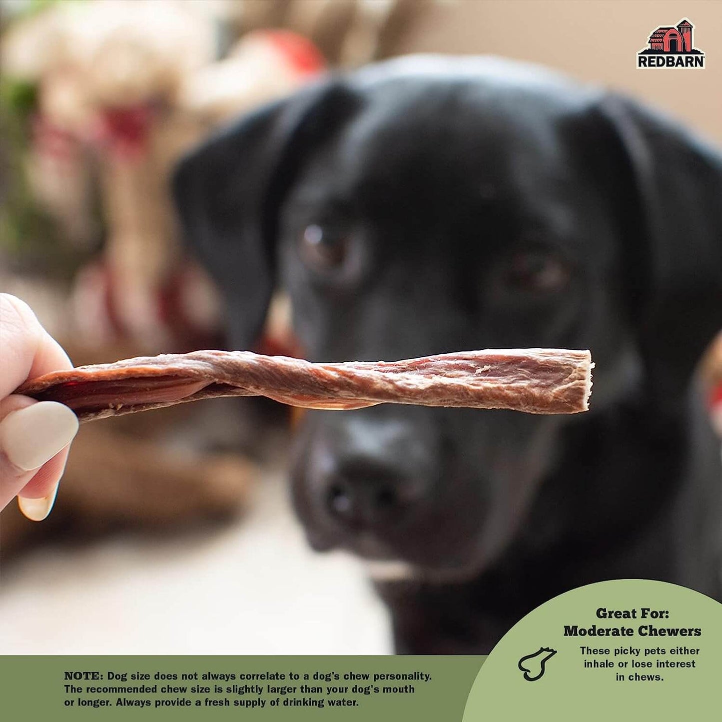 Dog being offered a treat with a blurred background