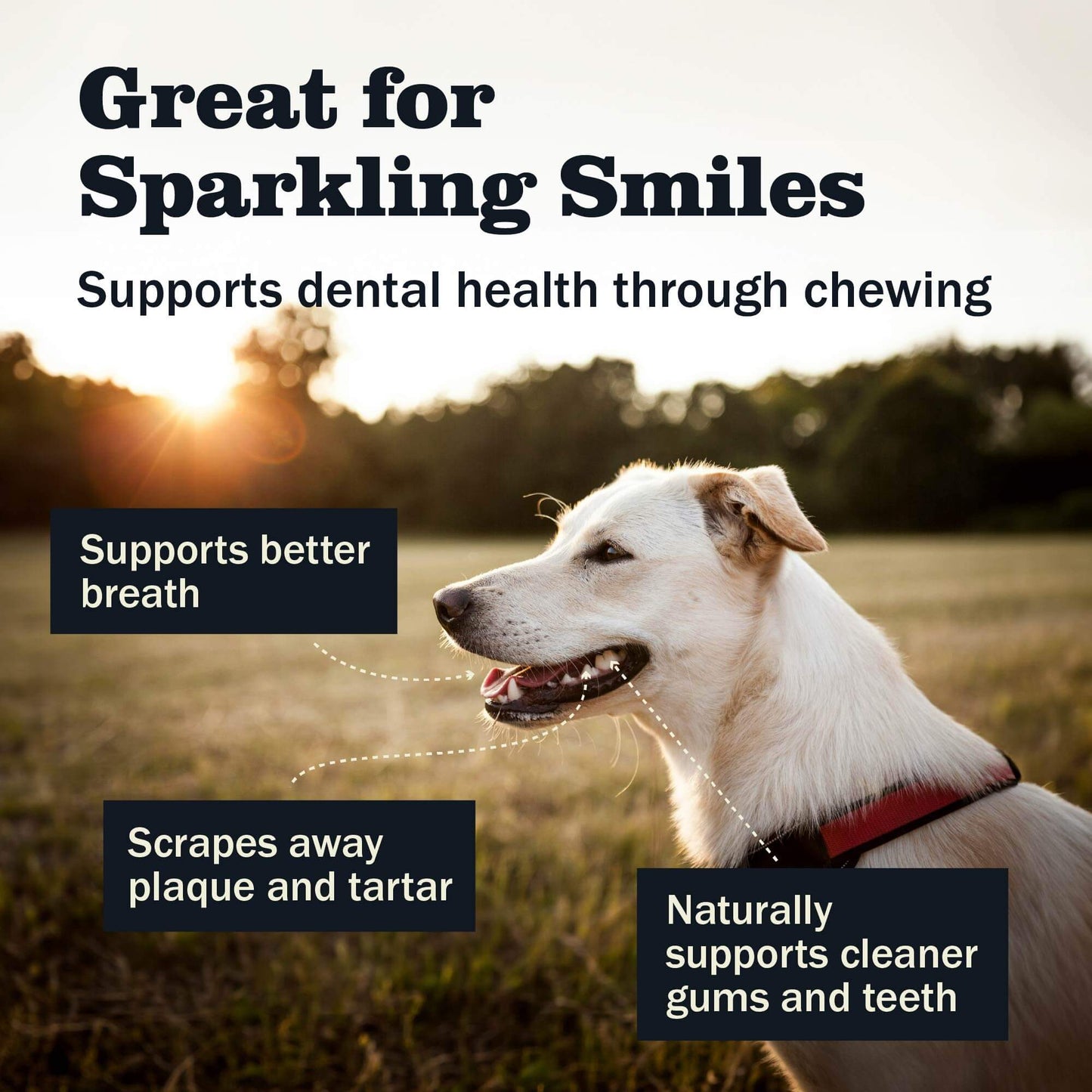 collagen chews for dogs