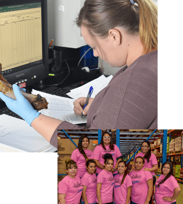 Jointheteam2_742x826_004929ee-5415-4fce-8662-3b7a79b3e78b