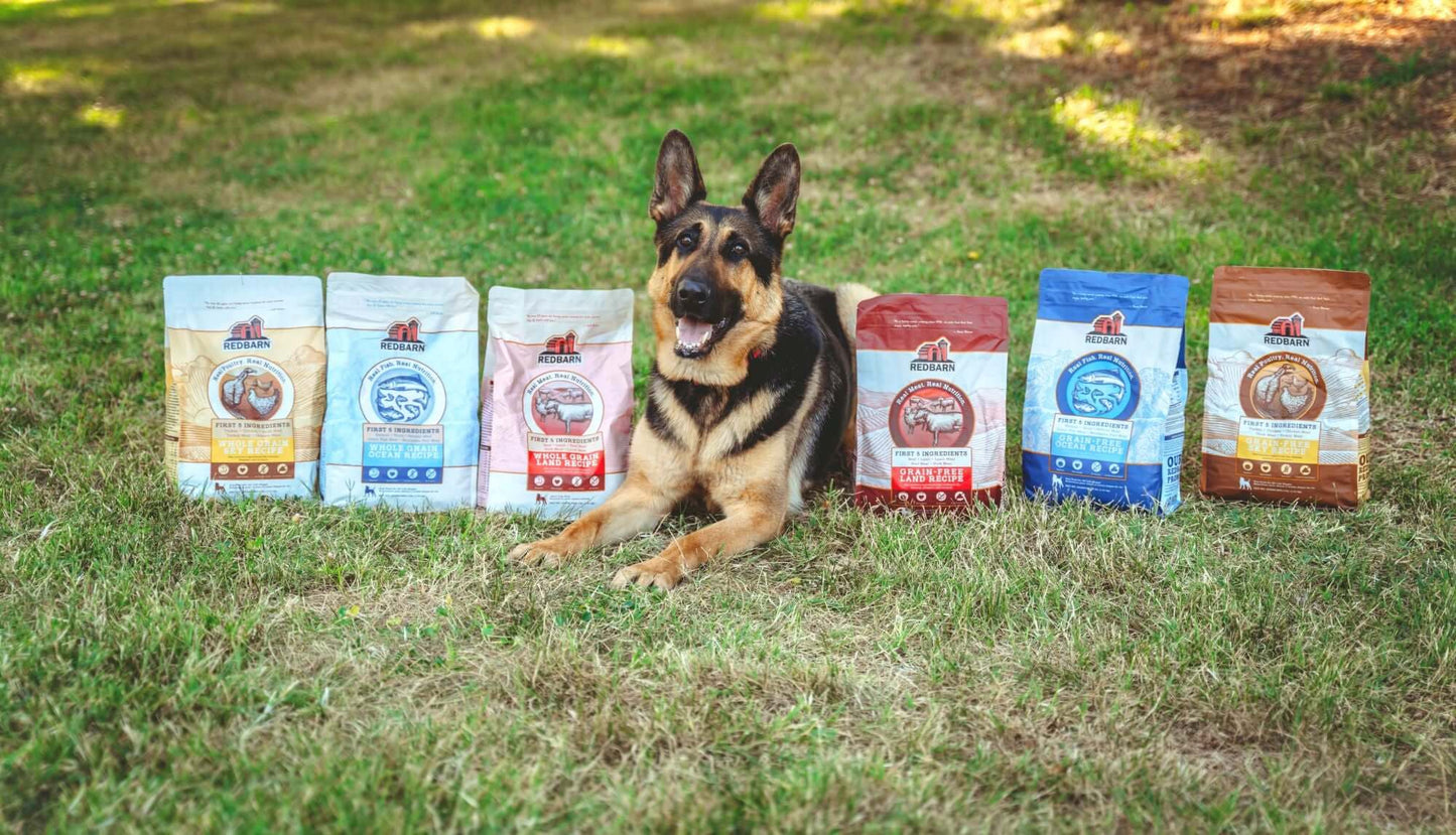 A happy dog posing with different Redbarn Grain-Free Dry Dog Food packs