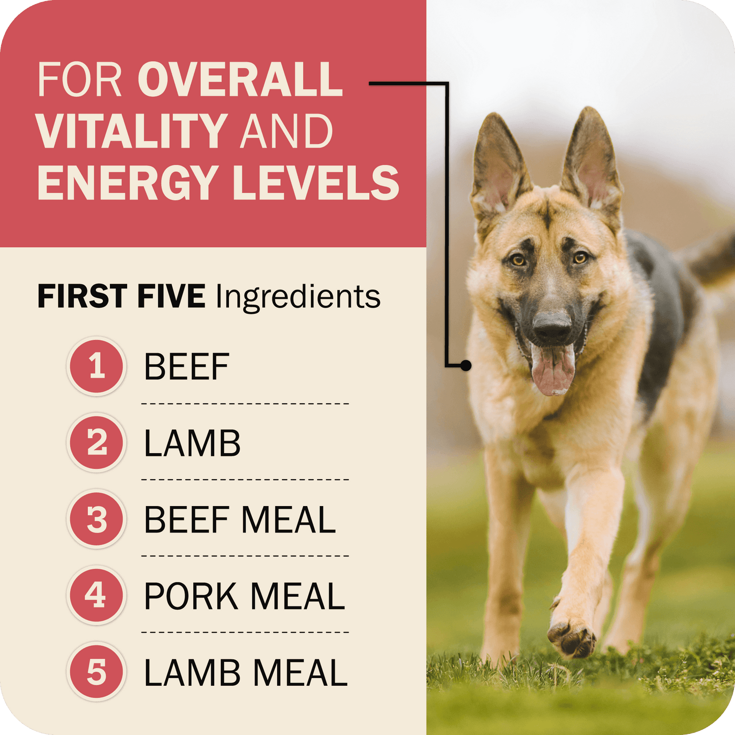 Powerfood Fusion Whole Grain Land Mix Recipe