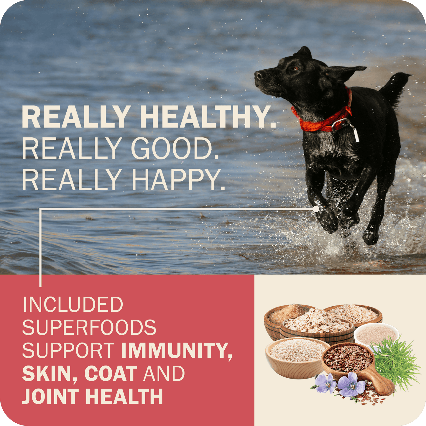 Powerfood Fusion Whole Grain Land Mix Recipe