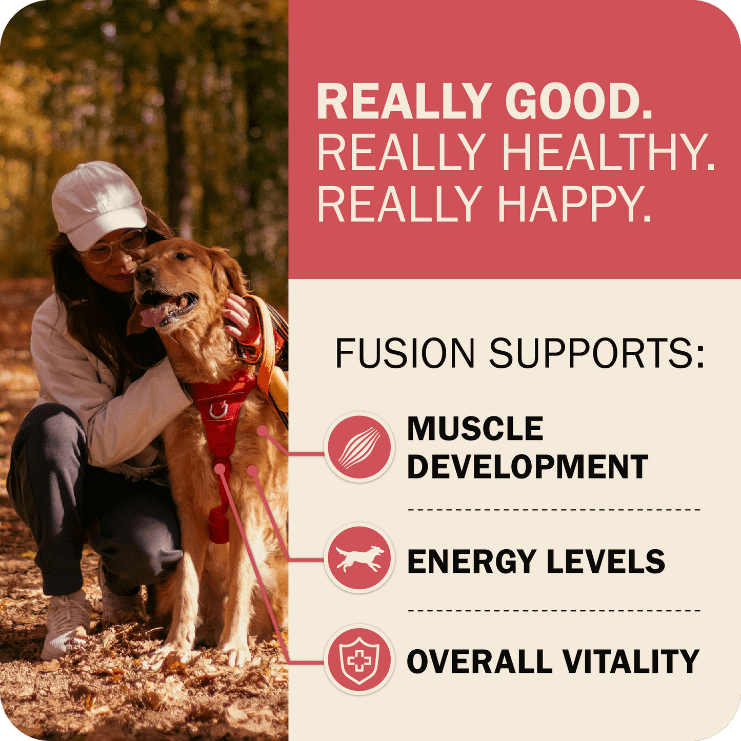 Powerfood Fusion Whole Grain Land Mix Recipe
