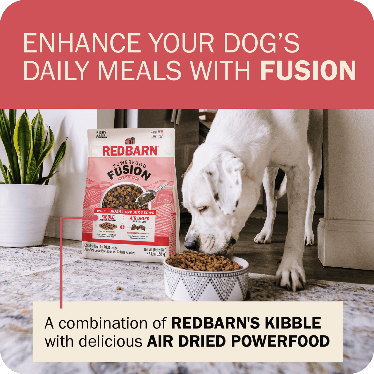 Powerfood Fusion Whole Grain Land Mix Recipe