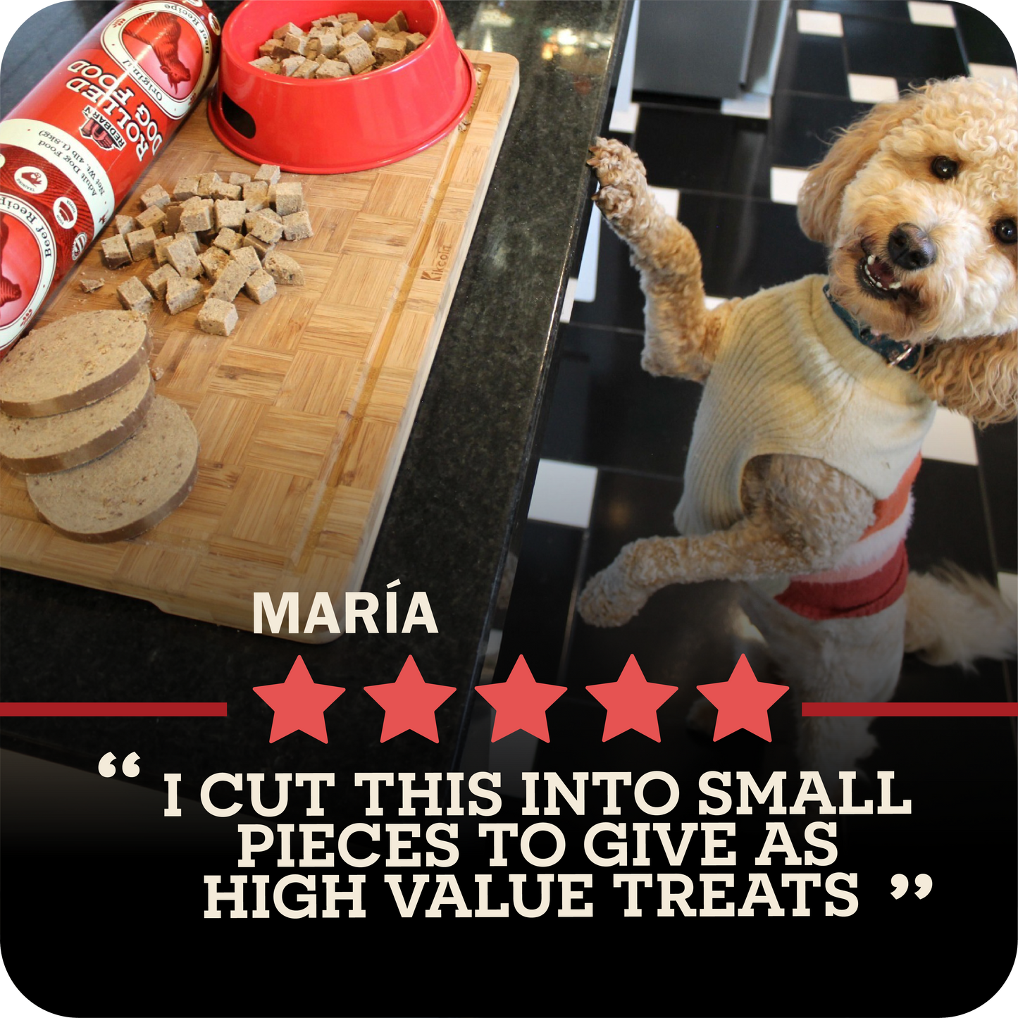 Dog standing on a checkered floor with a bowl of Redbarn rolled food and a package of rolled food in the background.