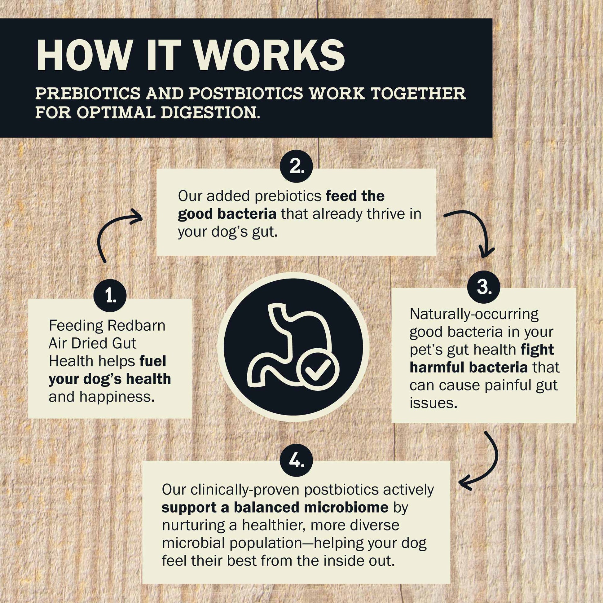 How Prebiotics & Postbiotics work together for optimal digestion