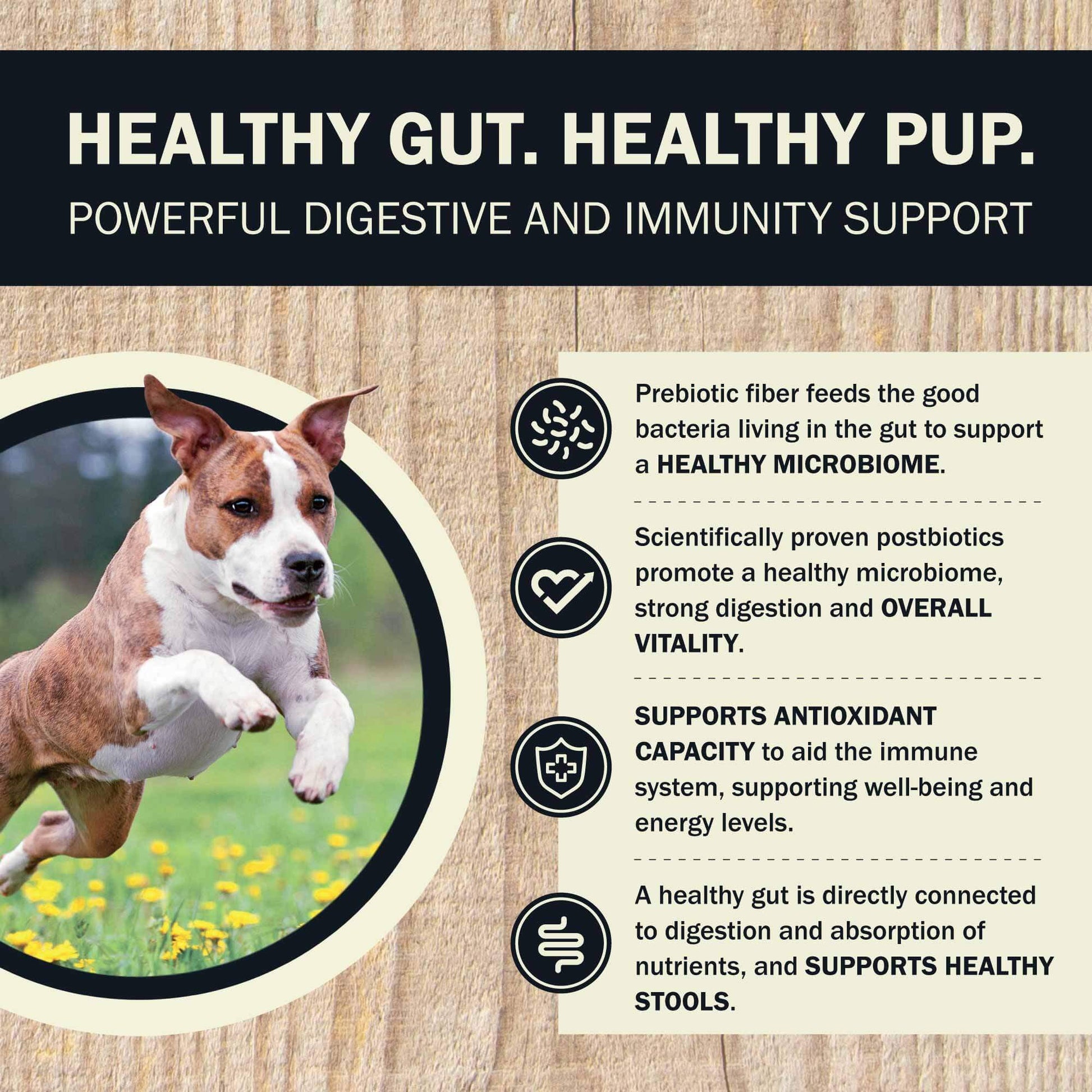 Healthy Gut, Health Pup - Benefits of the Redbarn Air Dried Powerfood Digestive Health Fish Recipe