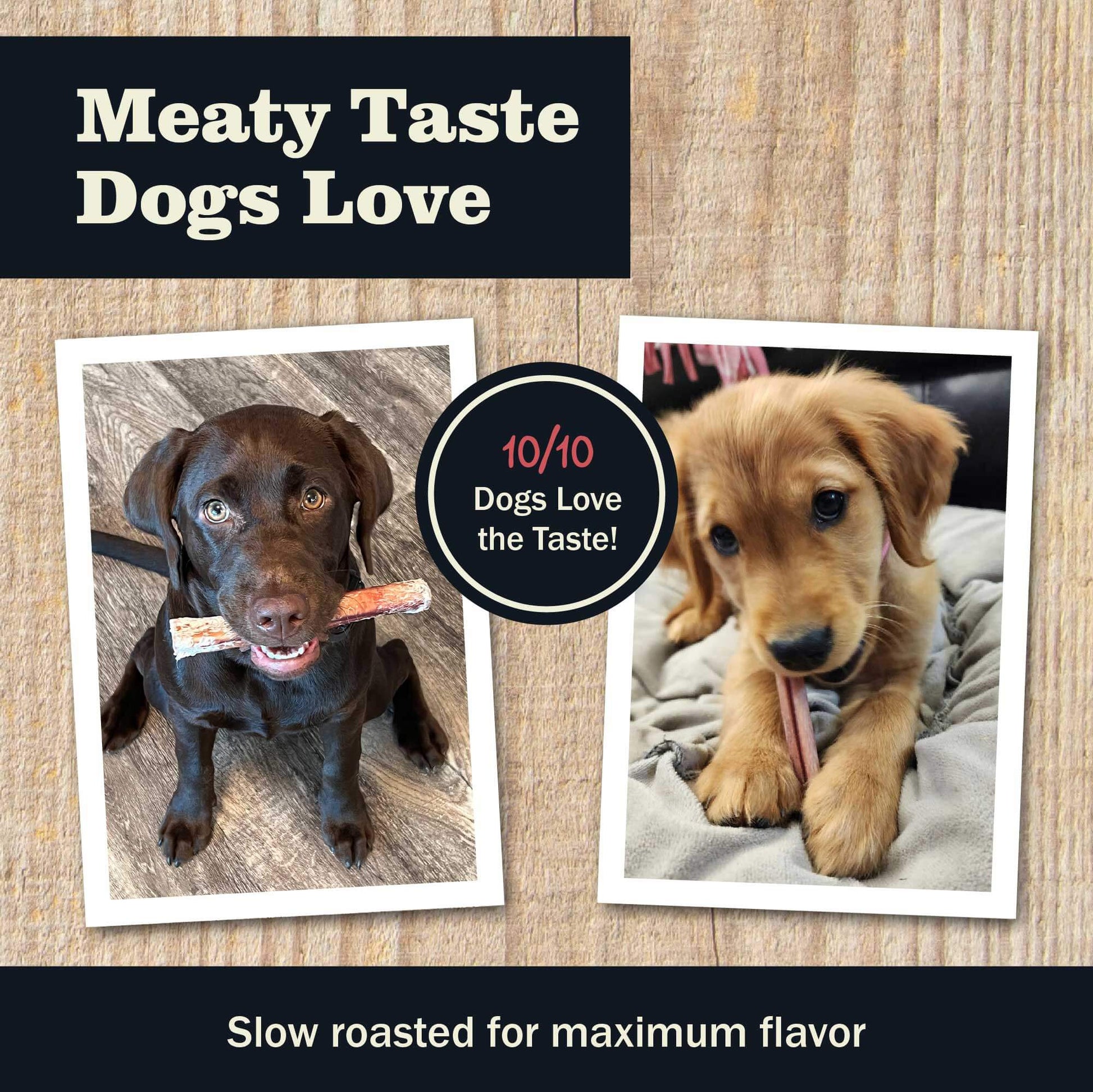 Meaty Taste Dogs Love