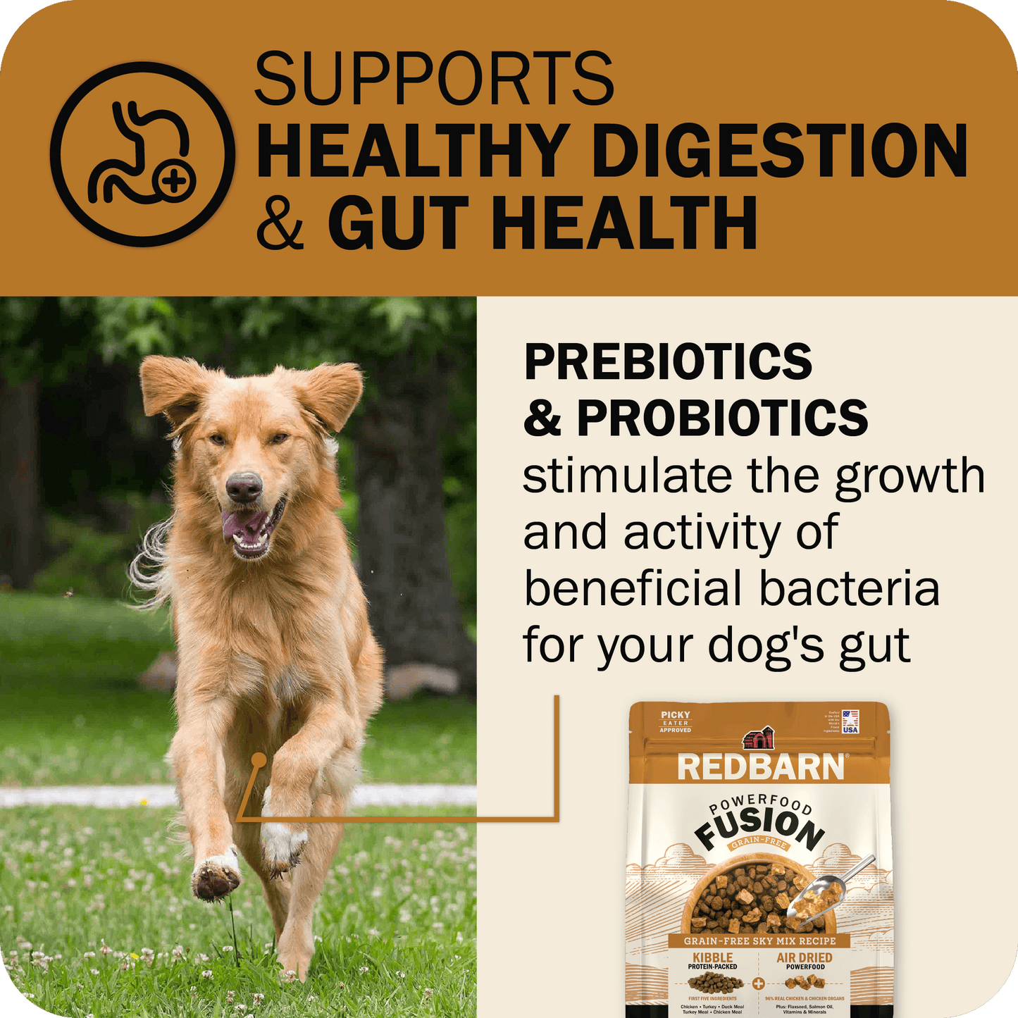 Powerfood Fusion Grain-Free Sky Mix Recipe
