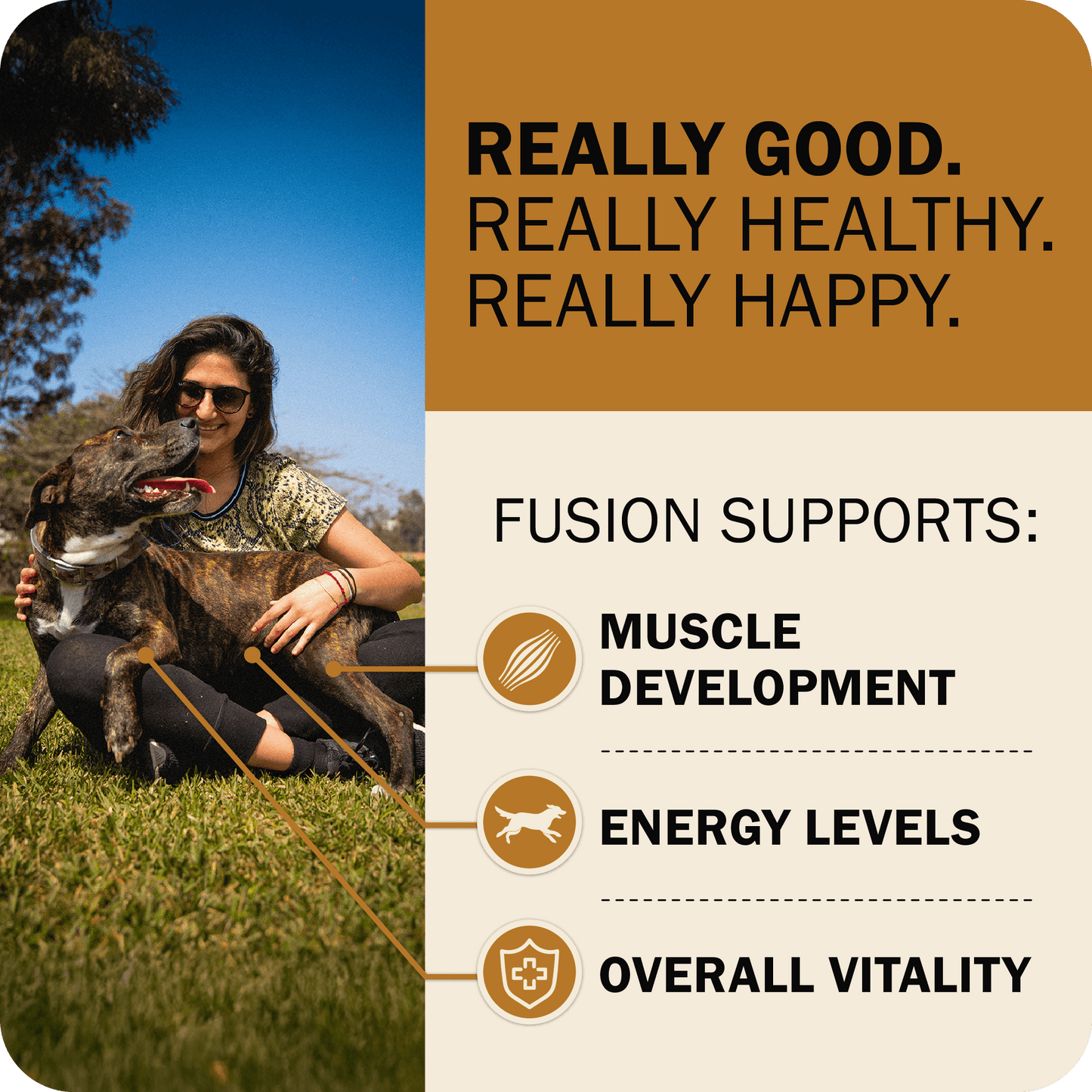 Powerfood Fusion Grain-Free Sky Mix Recipe
