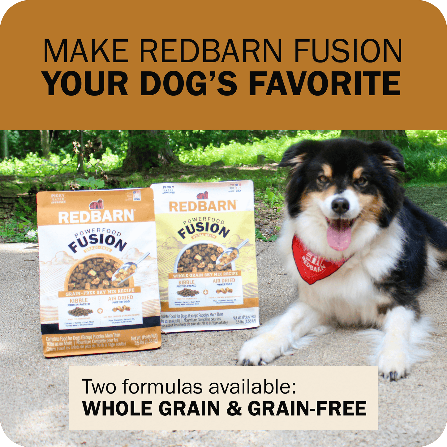 Powerfood Fusion Grain-Free Sky Mix Recipe
