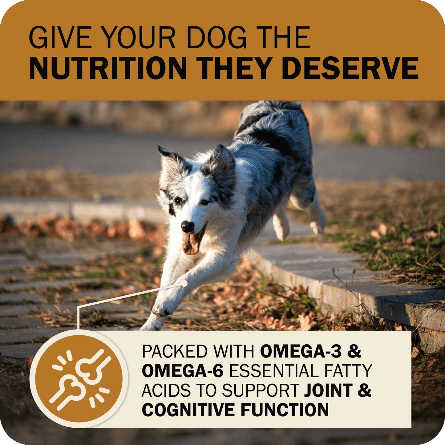 Powerfood Fusion Grain-Free Sky Mix Recipe