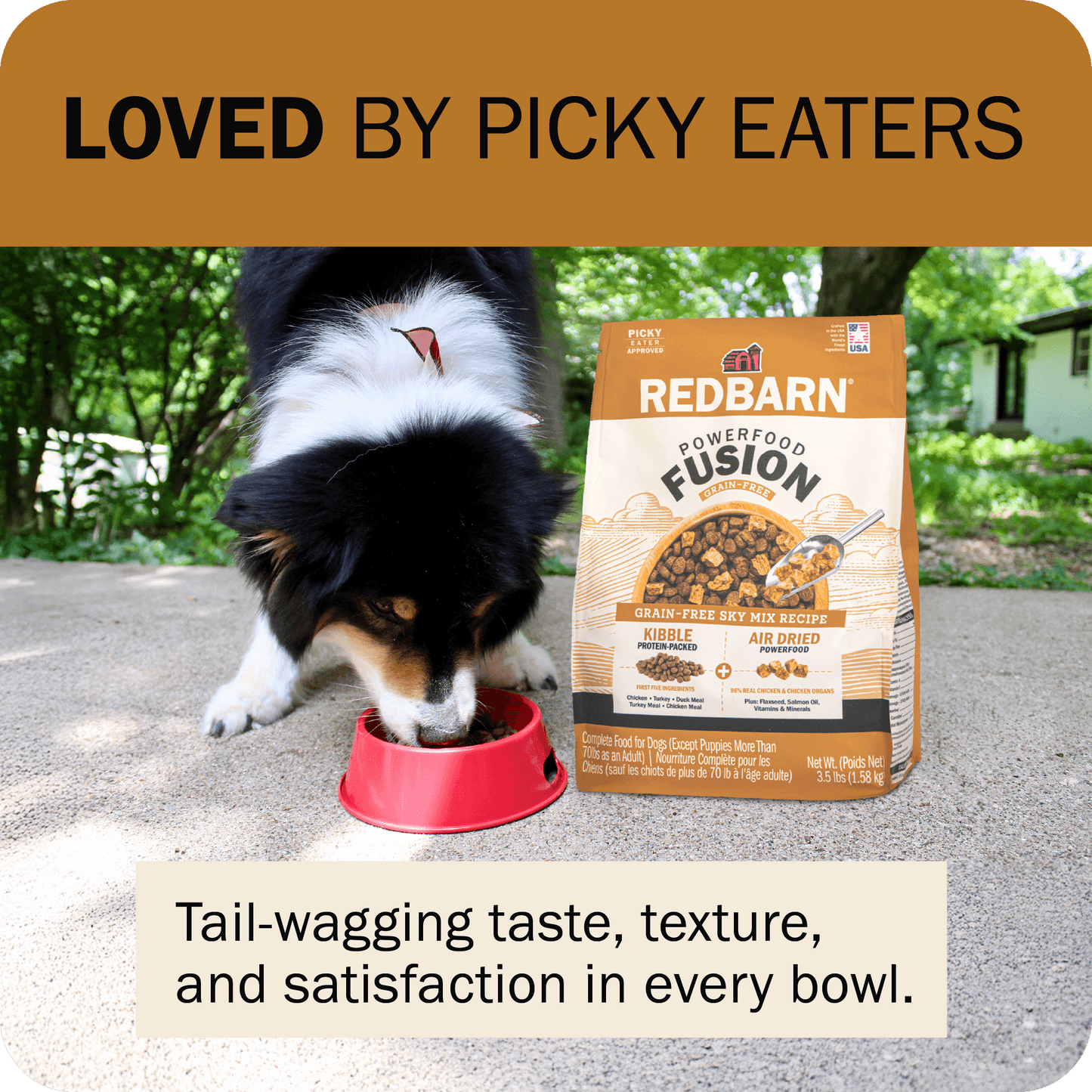 Powerfood Fusion Grain-Free Sky Mix Recipe