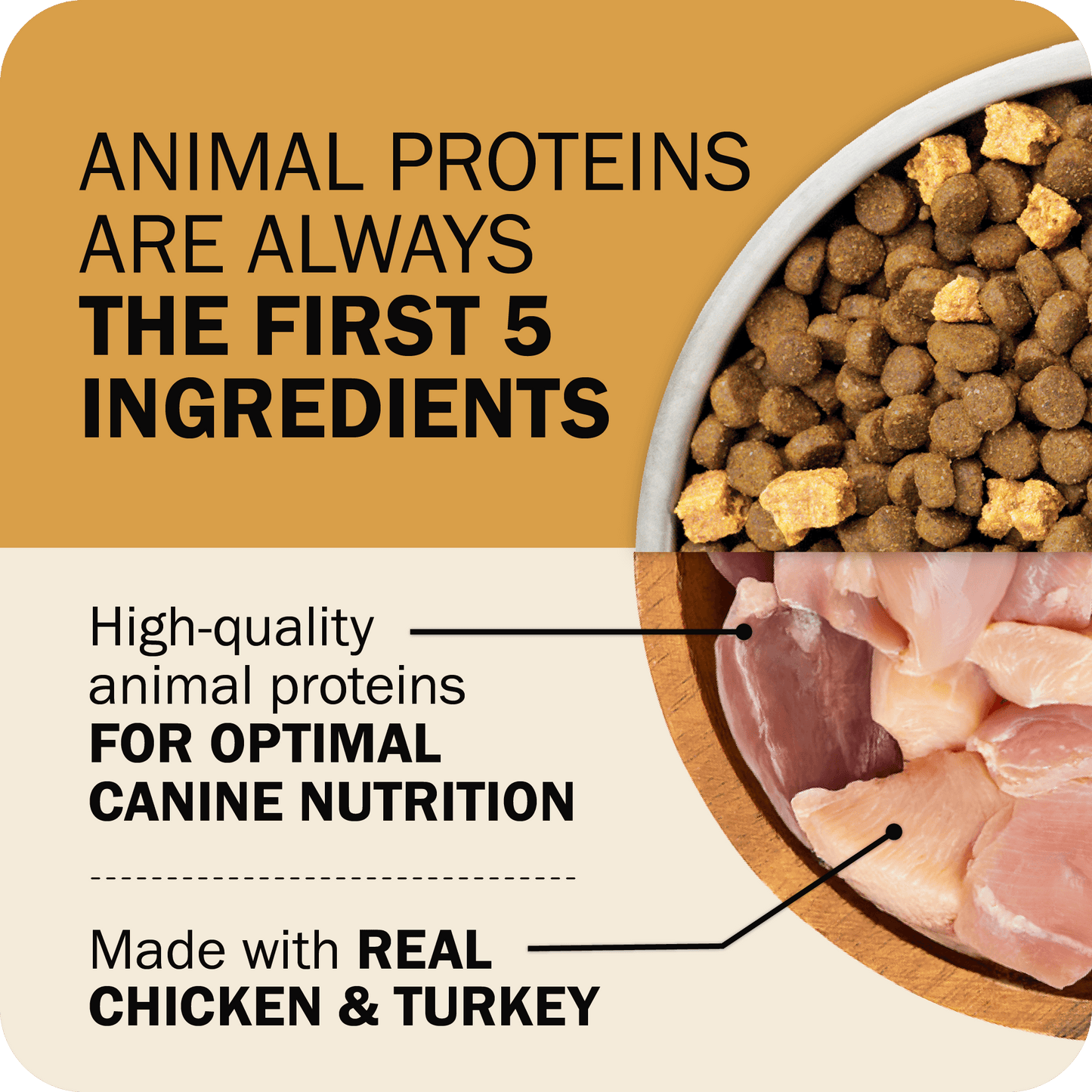 The First Five Ingredients