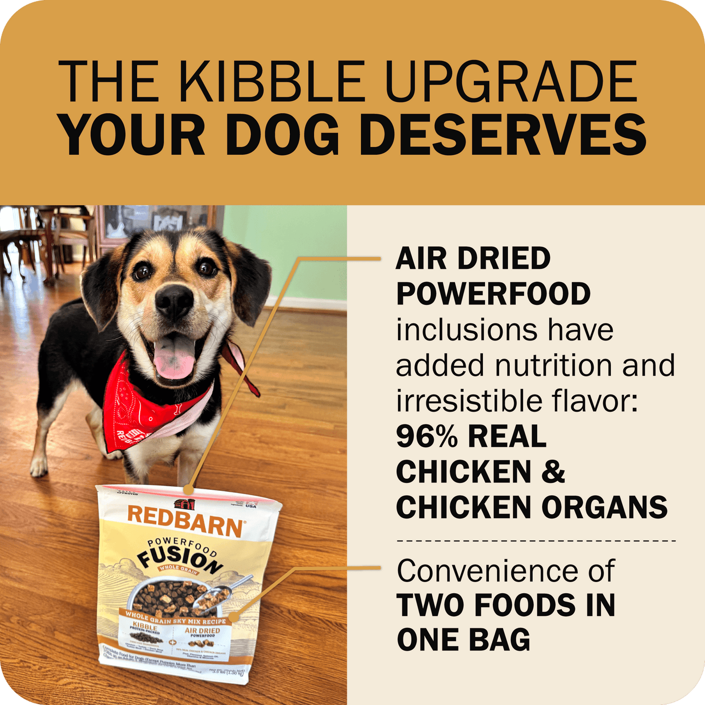 The Kibble Upgrade Your Dog Deserves - 96% Real Chicken & Chicken Organs
