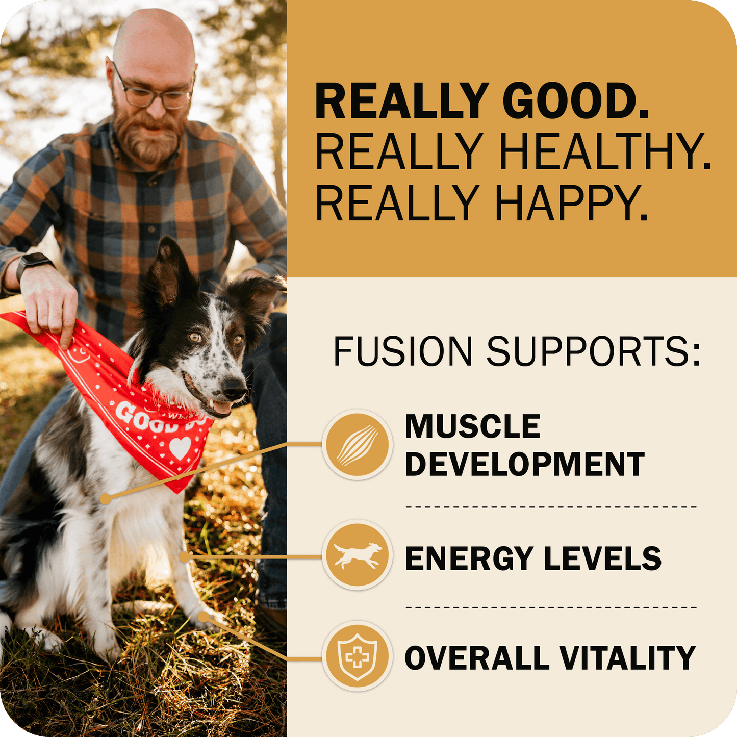 Fusion Supports: Muscle Development, Energy Levels & Overall Vitality
