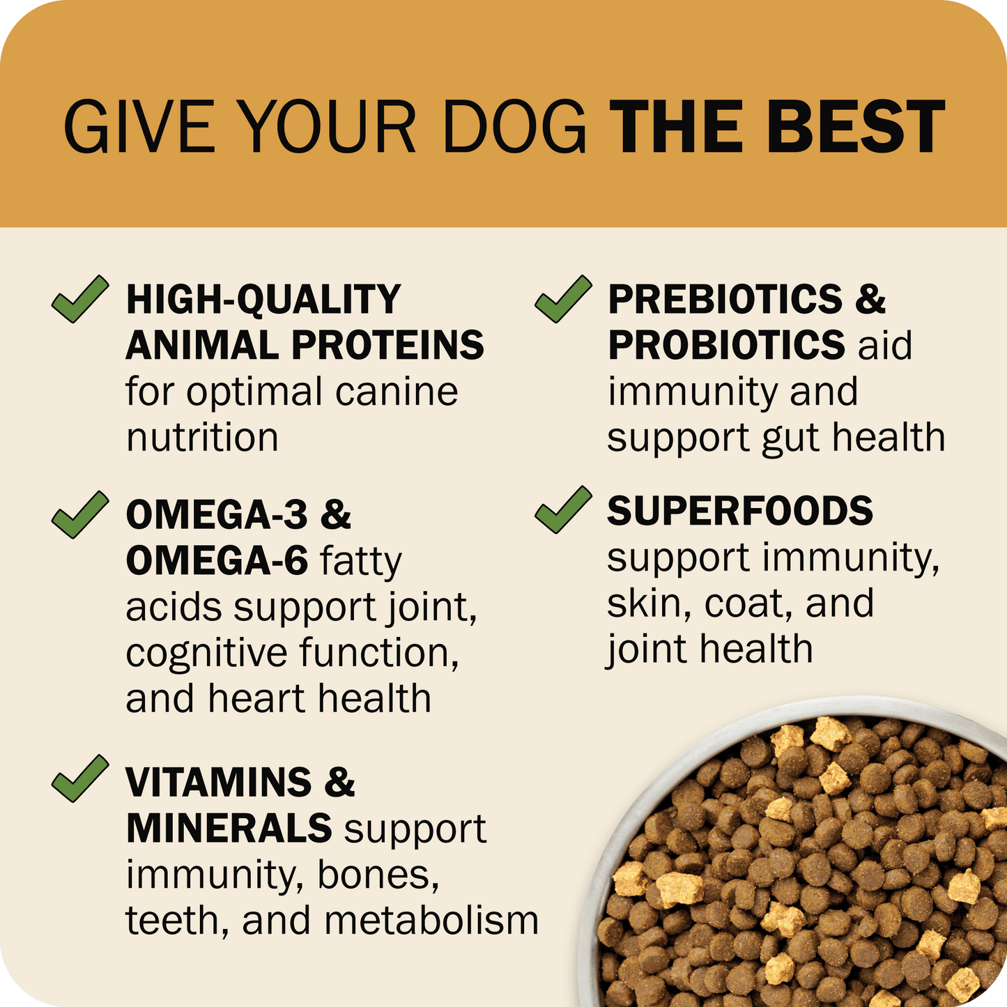 Give Your Dog The Best