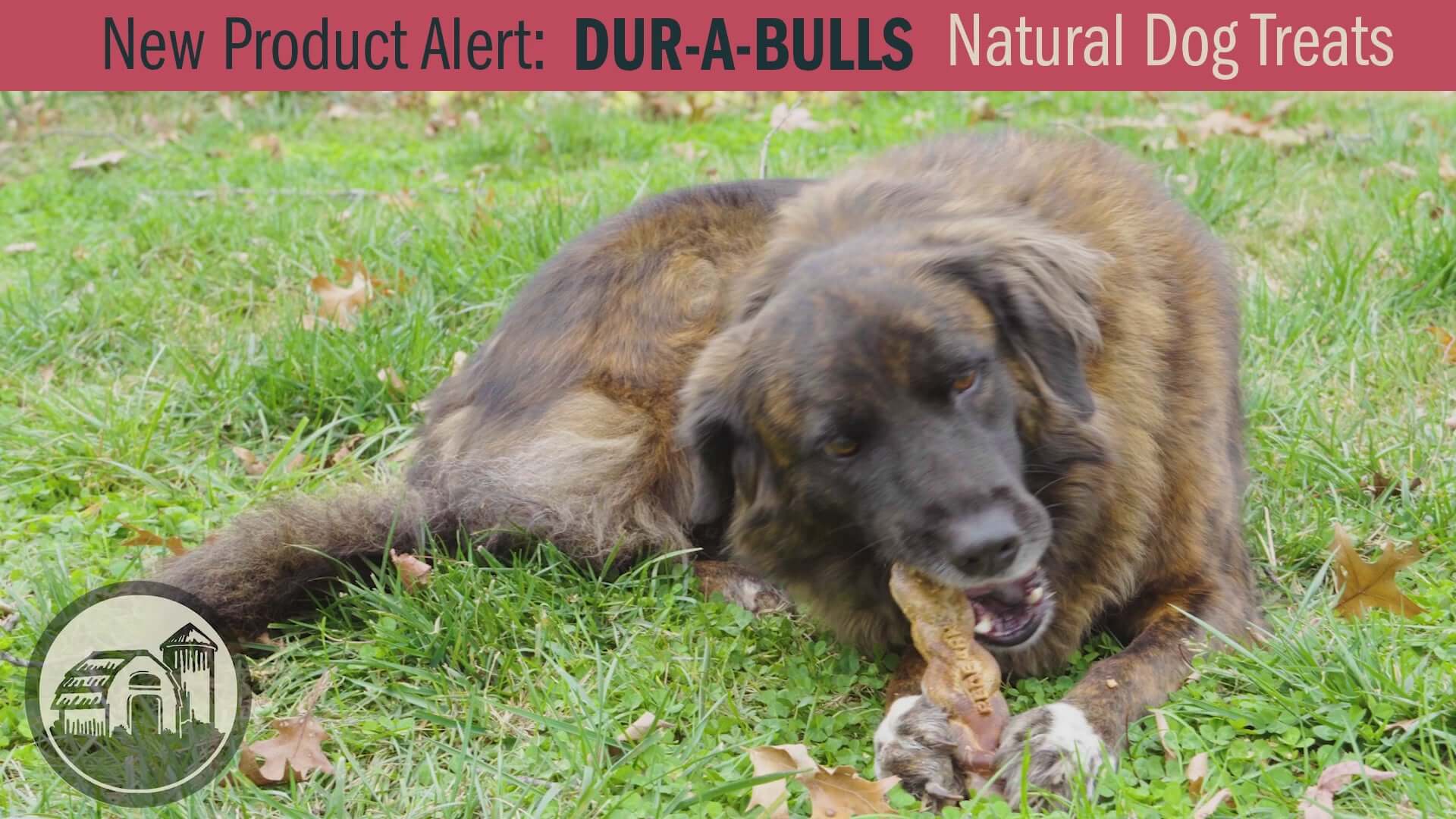 Video Commercial Showcasing the Redbarn Dur-A-Bulls