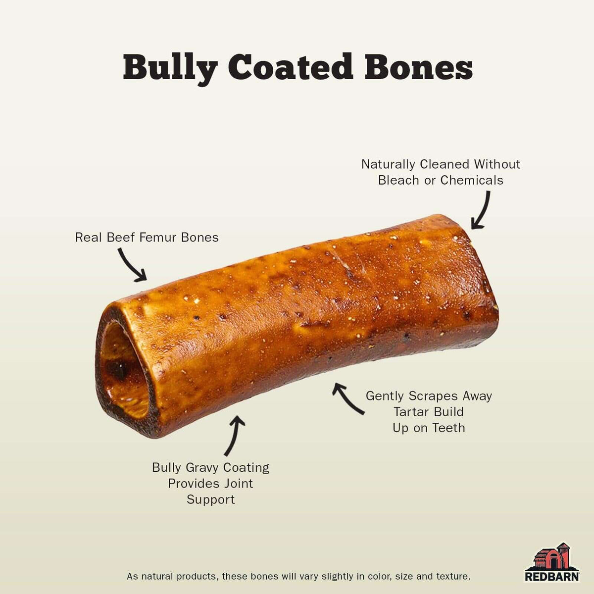 Bully bones 2025