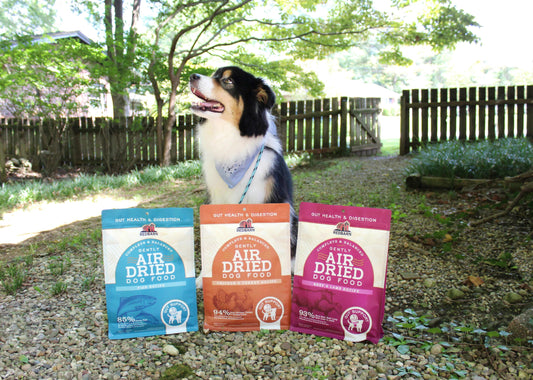 Why Gut Health Air Dried Powerfood?