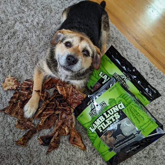 dog laying on the floor in a pile of redbarn treats and redbarn bags with lamb lung filets