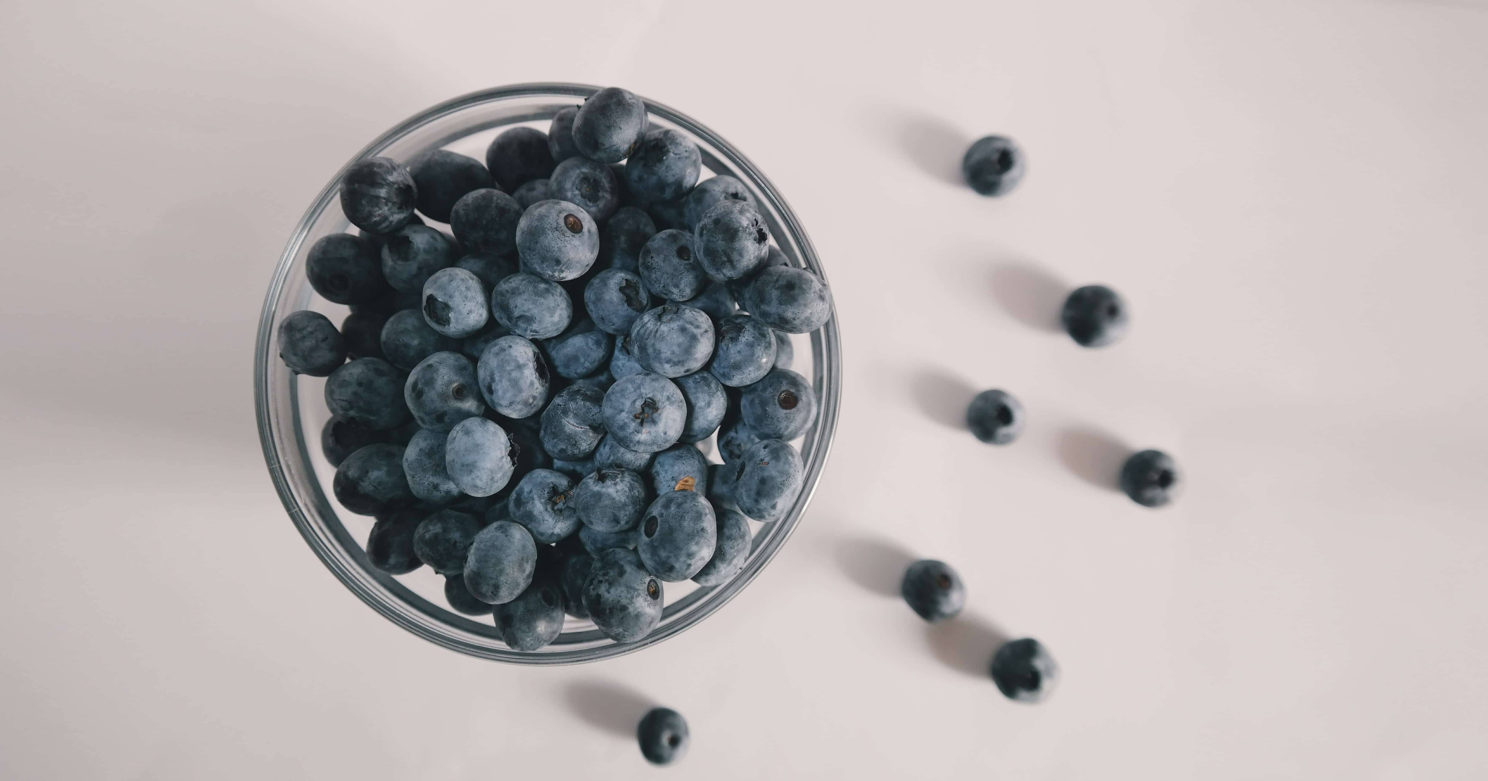 Are Blueberries Safe For Small Dogs