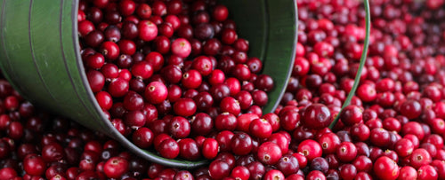 Cranberries in barrel