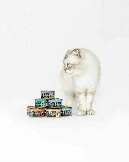 Redbarn Blog - Kitten-Proofing 101: The Ultimate Checklist of New Kitten Must-Haves