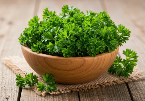 Curly parsley in wooden bowl