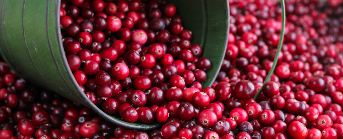 Cranberries in barrel