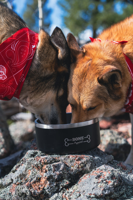 2 dogs eating out of a redbarn bowl outside 