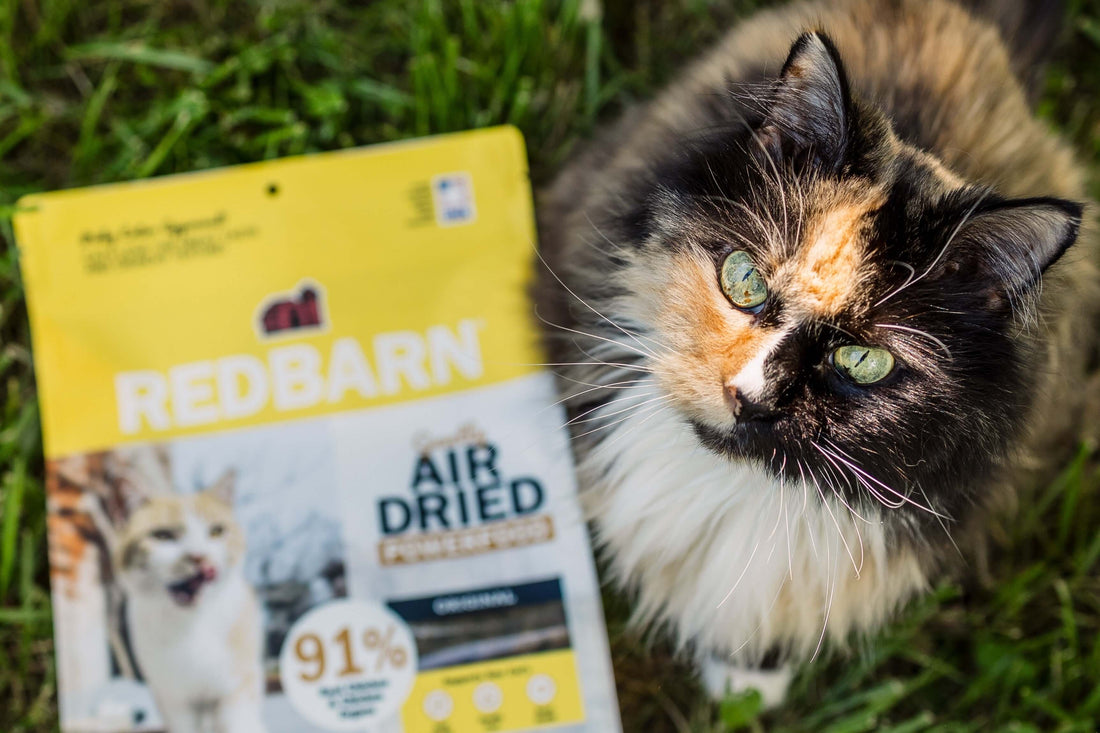 Introducing Redbarn’s New Air Dried Powerfood Chicken Cat Food