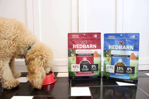 Become a Pro at Protein: Understanding Protein for Dogs