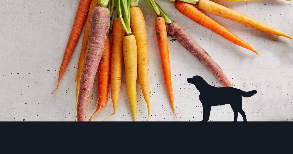 5 Reasons Why Carrots Make Great Dog Treats  