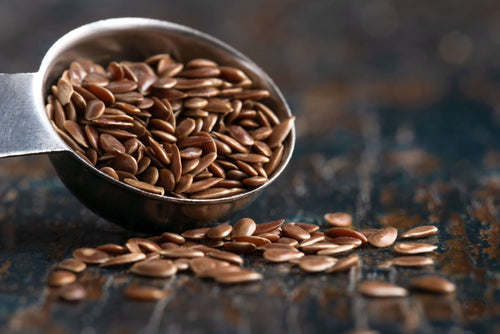 Redbarn Pet Products Benefits of Flaxseed for Dogs and Cats