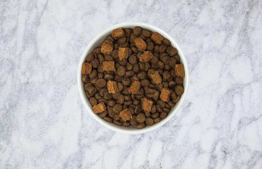 How to Use Dog Food Toppers