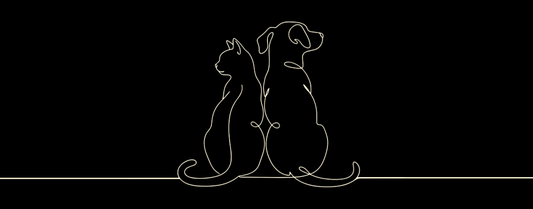Supporting You Through Pet Loss
