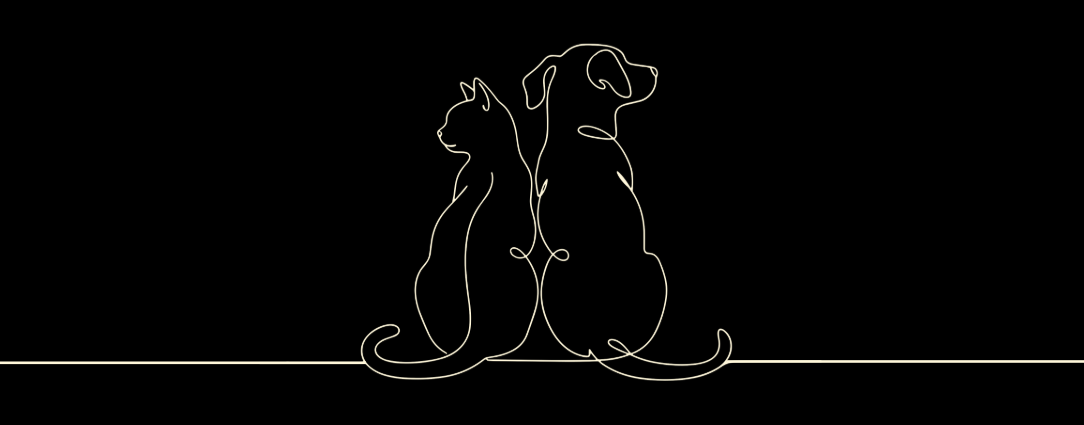 Supporting You Through Pet Loss