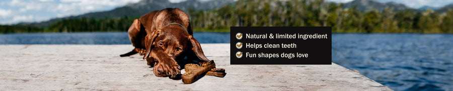 Dog laying on a pier next to dental treats. Text: Natural & limited ingredient. Helps clean teeth. Fun shapes dogs love.  