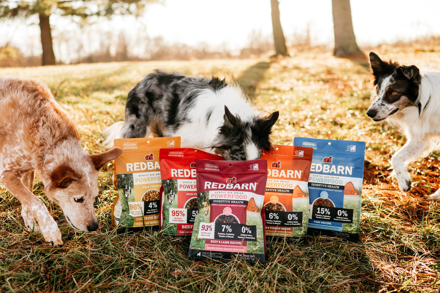 Dog with Redbarn Air Dried Dog Food