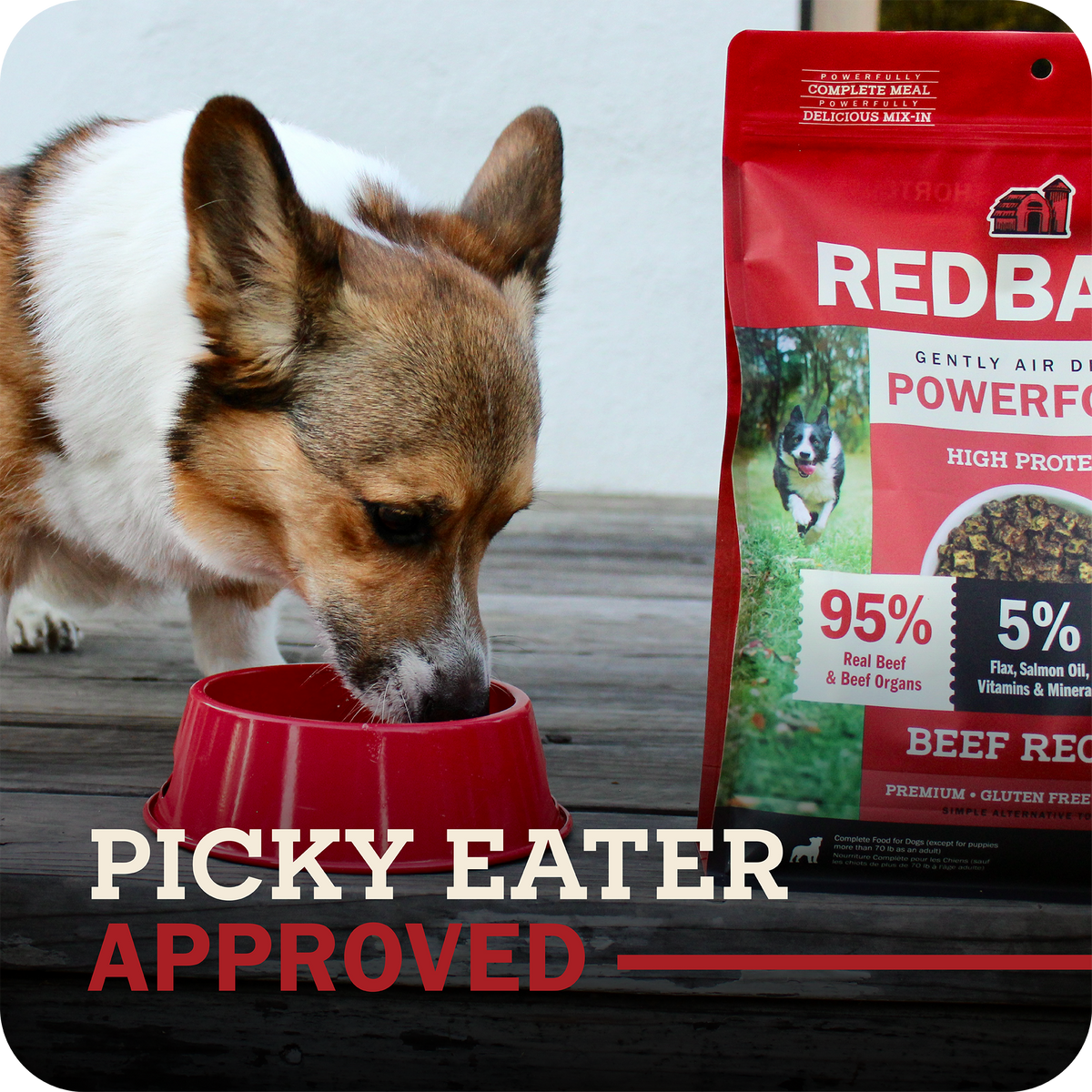 Air Dried Powerfood High Protein Beef Recipe