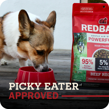 Air Dried Powerfood High Protein Beef Recipe