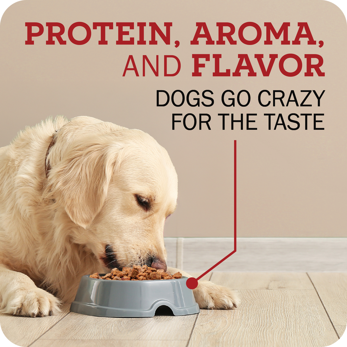 A golden retriever dog eating from a gray bowl on a light wood floor, with large text reading 'PROTEIN, AROMA, AND FLAVOR' and 'DOGS GO CRAZY FOR THE TASTE' on a beige background.