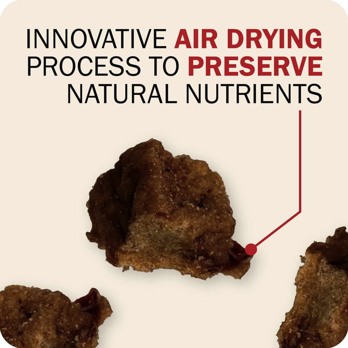 Air Dried Powerfood Small Breed Chicken & Blueberry Recipe