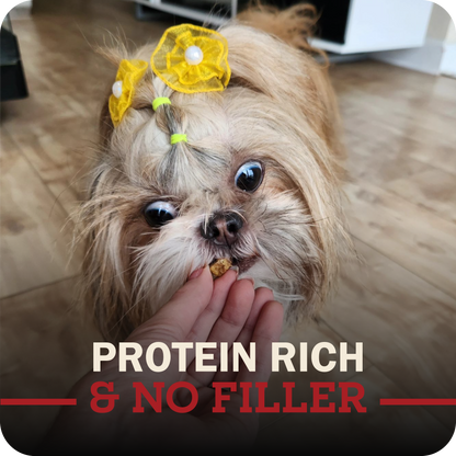 Air Dried Powerfood Healthy Puppy Chicken Recipe