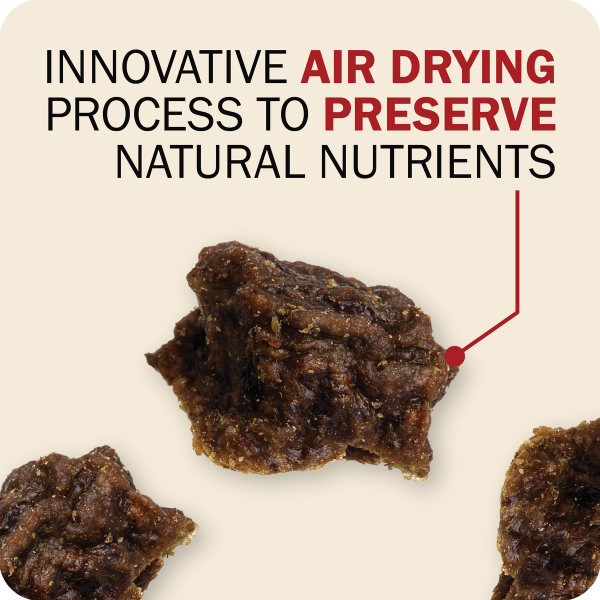 Air Dried Powerfood Healthy Puppy Beef & Lamb Recipe