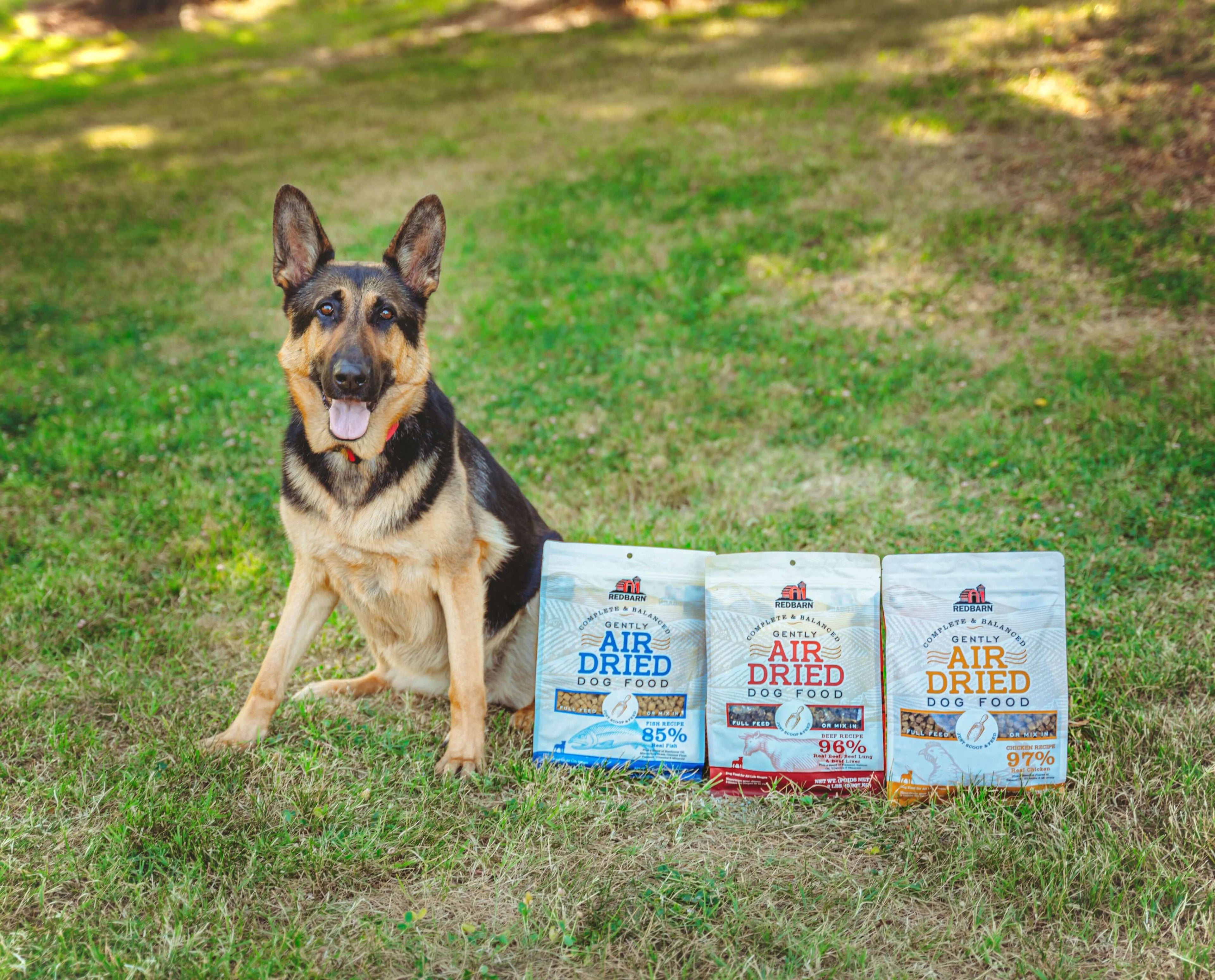 An adult German shepherd dog, sitting on grass, next to 3 bags of air dried food.