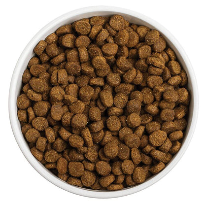 Grain-Free Ocean Recipe Dog Food